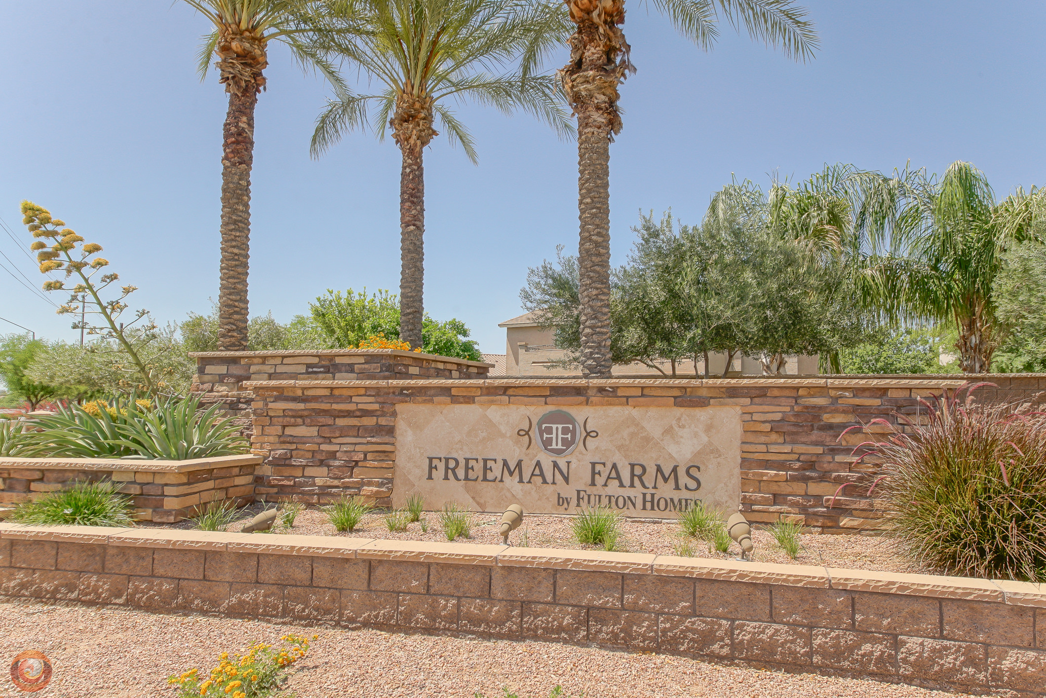 Freeman Farms